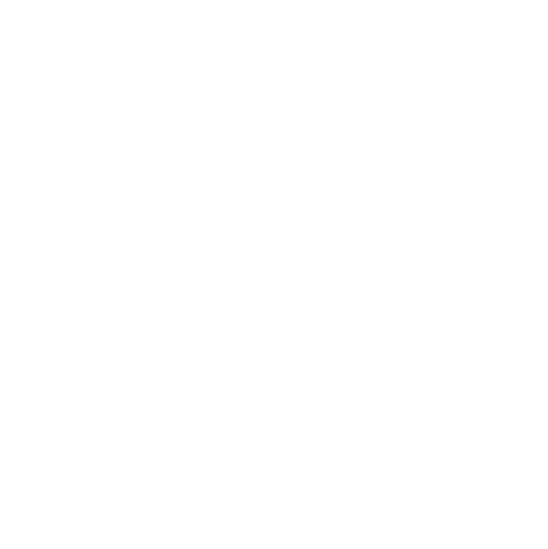 NZ Chamber